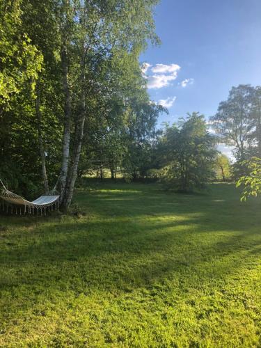a hammock in a grassy field with trees at Kino na łące - apartament z prywatną salą kinową in Wojcieszyce