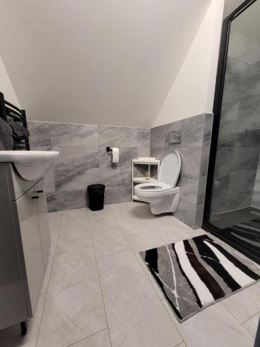 ein Badezimmer mit Toilette und Waschbecken in der Unterkunft Miķeļi in Īslīce