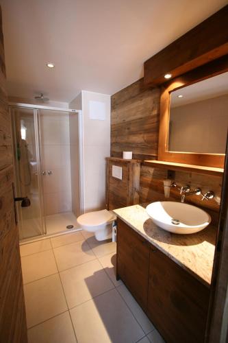 a bathroom with a sink and a toilet and a shower at Alouette in Grimentz