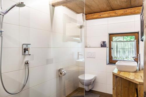 a bathroom with a shower and a toilet at Altes Totschenhäusl am Ziller in Finsing