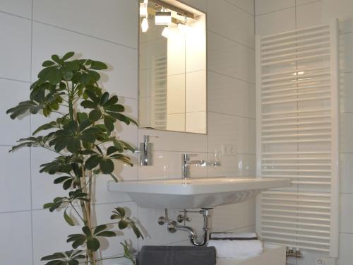 a bathroom with a sink and a mirror and a plant at Kapps Haus in Langenargen