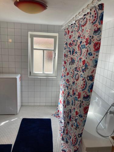 a bathroom with a shower curtain and a window at Bauernhaus in der Bayrischen Rhön in Schönau an der Brend