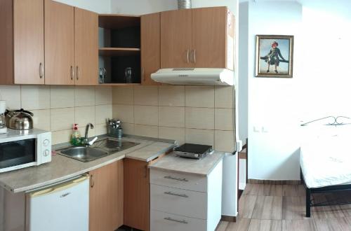 a small kitchen with a sink and a microwave at Center Park Apartment in Cluj-Napoca