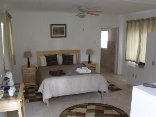 a bedroom with a large bed and two night stands at Bisibee Guest House in Oudtshoorn