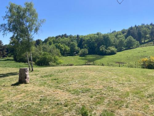 a tree stump in the middle of a field at Studio Ocre Au Bord Du Lac in Saint-Rémy-sur-Durolle