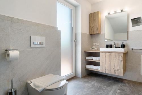a bathroom with a toilet and a sink and a mirror at Schererhof Dolomitenblick in Castelrotto