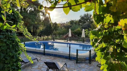 a swimming pool with chairs and umbrellas at Monte Horta da Velhinha in Redondo