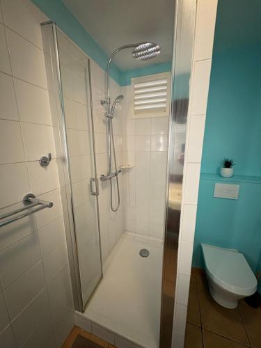 a bathroom with a shower and a toilet at TI COCOTIER Studio PREMIUM Village Vacances in Sainte-Luce