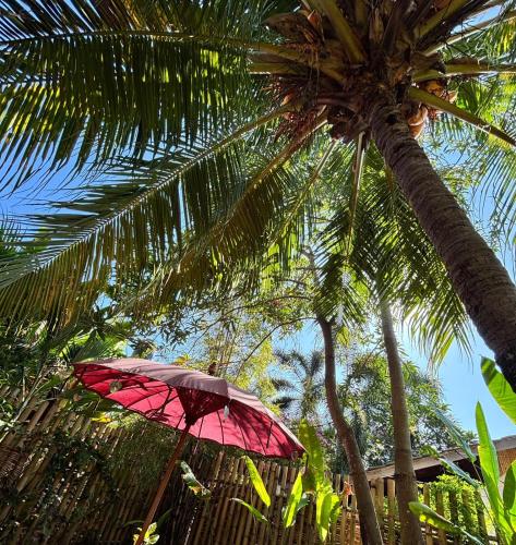 a red umbrella sitting under a palm tree at Utopia Bungalows Gili Air in Gili Islands