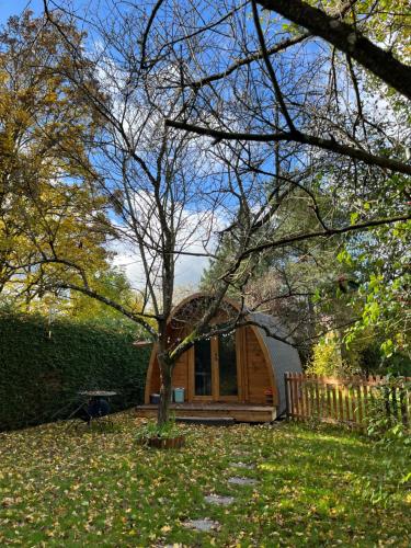 a wooden cabin with a tree in the yard at La Parenthèse Enchantée in Rochefort
