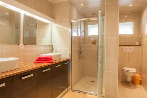 a bathroom with a shower and a sink and a toilet at Le gîte de Gemma in Montain