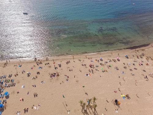 Torre Principado 22F