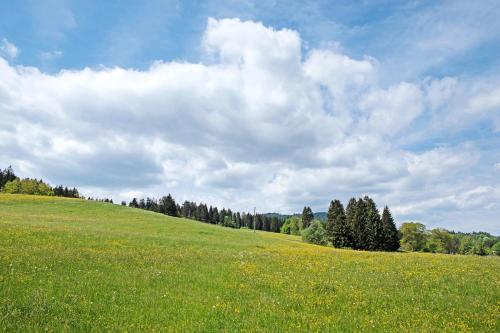 Imagine din galeria proprietății Fewo Koch în Lenzkirch