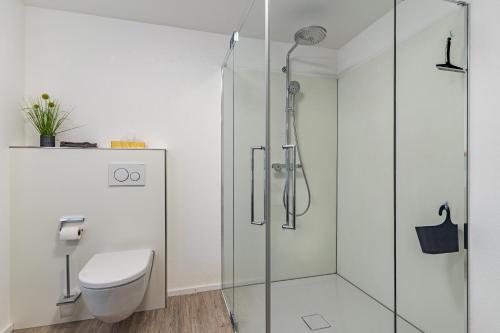 une salle de bain avec toilettes et douche en verre dans l'établissement Ferienwohnung Schätzle, à Schuttertal