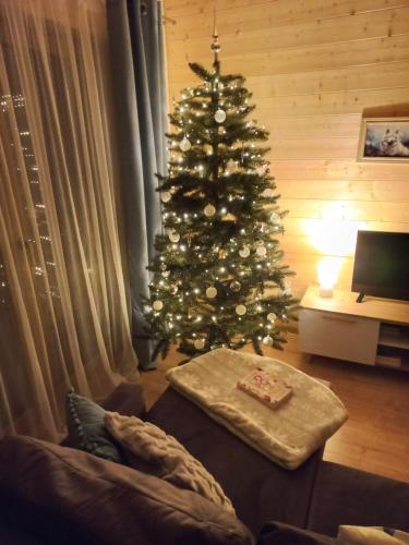 Μια τηλεόραση ή/και κέντρο ψυχαγωγίας στο Domek Luna Wilcza Zagroda