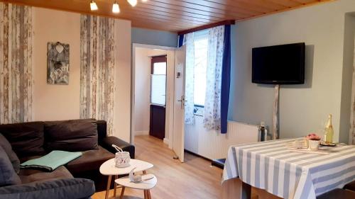 TV a/nebo společenská místnost v ubytování Ferienwohnungen-im-Koog-2