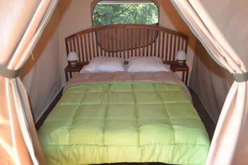 BessuéjoulsにあるTente Lodge avec vue sur l'Aubracのテント ベッド1台 枕2つ付