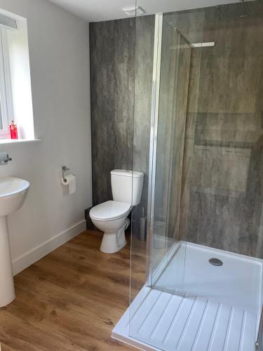a bathroom with a toilet and a glass shower at Beechen Lodges in Bishops Waltham