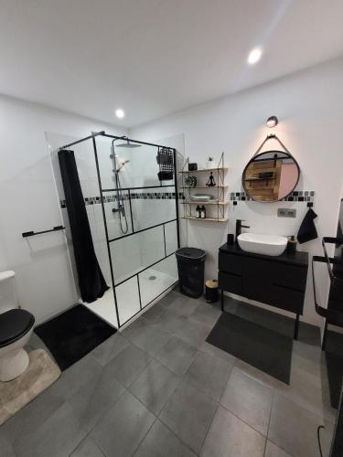 a bathroom with a glass shower and a sink at Le Compostelle in Châtellerault