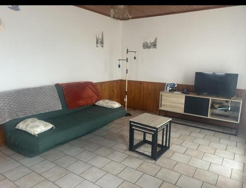 a living room with a green couch and a tv at Chez David et Julie in La Bouverie