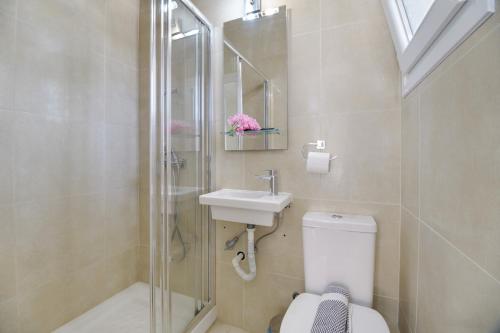 a bathroom with a shower and a toilet and a sink at M6 room in Nikiana