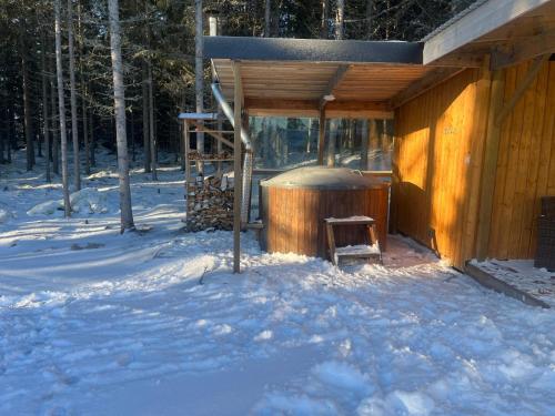 Το Ferienwohnung 2 Lakeland Åäng 6 Vislanda τον χειμώνα