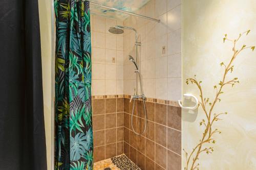 a shower with a shower curtain in a bathroom at Charmant Gite Egaux De Chambon in Chambon