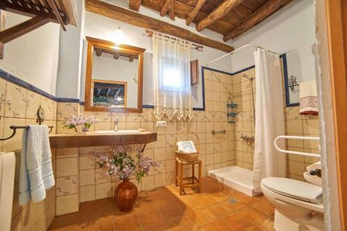 a bathroom with a toilet and a sink and a shower at El Zarzo in Fuenteheridos