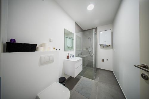 een witte badkamer met een toilet en een wastafel bij Flex SelfCheckIns 188 - Zagreb - 2 Bedrooms - Parking in Zagreb