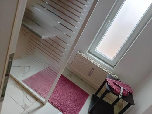 a room with a window and a chair and pink rug at Stellas Monteurwohnung in Crimmitschau