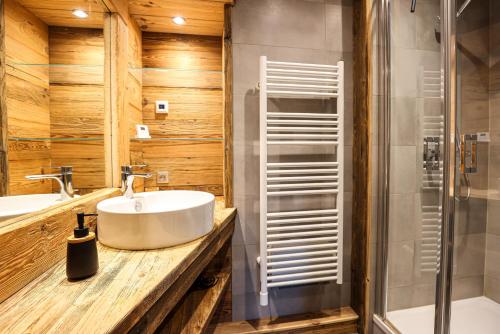 a bathroom with a sink and a shower at Laltizoard in Briançon