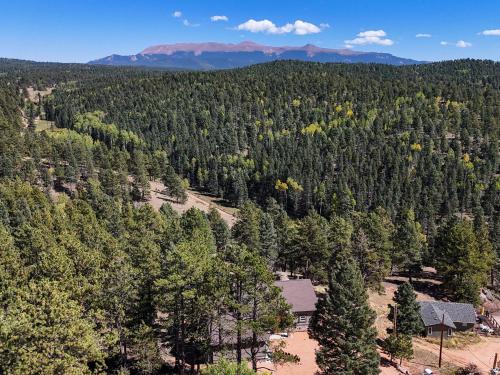 an aerial view of a forest with mountains in the background at 36 Huntsman in Florissant