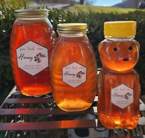 Φωτογραφία από το άλμπουμ του Mamaws Place -Cozy Farmhouse in Mtn City TN-Near Boone, Damascus and Doe Mtn σε Mountain City