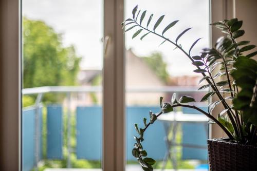 Afbeelding uit fotogalerij van Meienreis in Breisach am Rhein