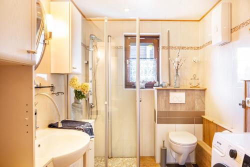 a bathroom with a shower and a toilet and a sink at Ferienwohnung Energie und Balance in Lichtenau