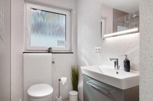 une salle de bain avec un lavabo et des toilettes et une fenêtre dans l'établissement Krautter, à Uhldingen-Mühlhofen