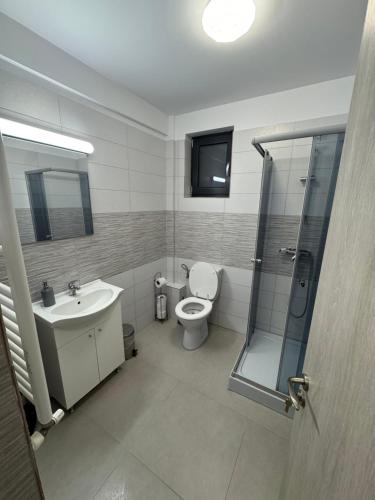 a bathroom with a toilet and a sink and a shower at AA home in Craiova International Airport