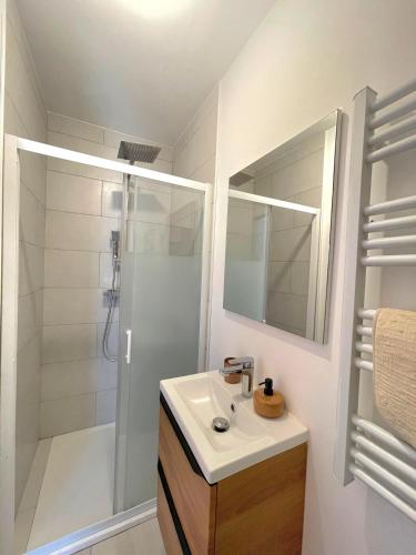 Koupelna v ubytování Le petit cocoon de Brive - 3 people - 800m du centre-ville