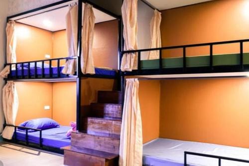 two bunk beds in a room with orange walls at Grace Hostel - Chiang Rai in Chiang Rai