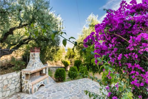 Foto sihtkohas Laganas asuva majutusasutuse Tamar Apartments, Laganas galeriist