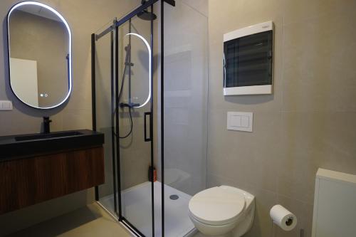un bagno con doccia, WC e lavandino di Appartment St guidon 1 a Bruxelles