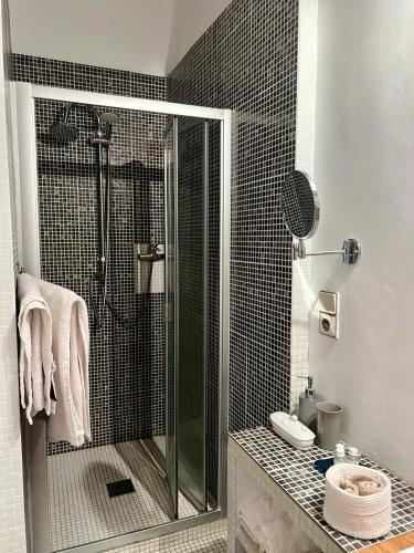 a bathroom with a shower and a toilet and a sink at Château Le Baudou in Coutras