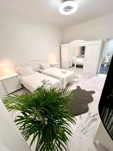 a bedroom with two beds and a potted plant at Old Town 3Room Apartment in Tallinn