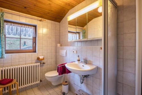 ein Badezimmer mit Waschbecken und Toilette in der Unterkunft Mittlerer Itzenwaldhof - Heimkehr in Münstertal