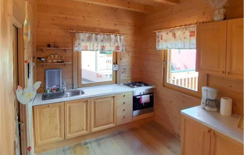 a kitchen with a sink and two windows in a log cabin at Gorgeous Home In Ravna Gora With Wifi in Ravna Gora