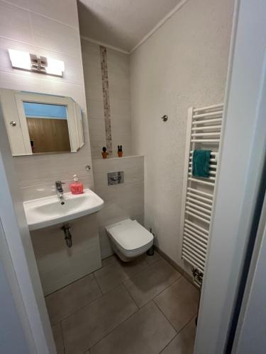 a small bathroom with a toilet and a sink at gemütliche kleine Ferienwohnung in Altenberg in Kurort Altenberg