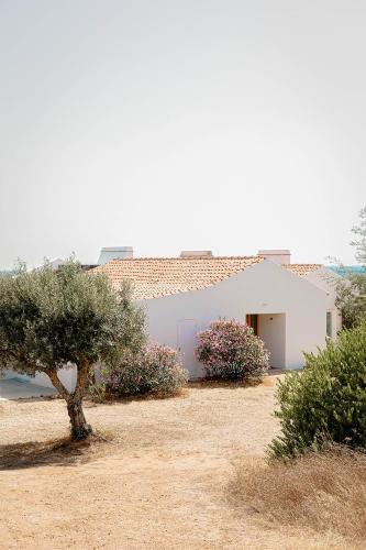 Casa Acima