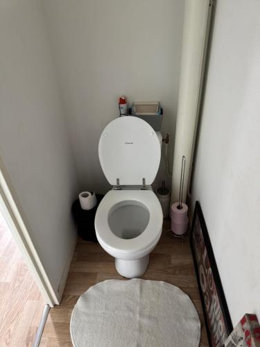 Saint-Denis-en-ValChez Dapia的一间小浴室,内设卫生间和地毯