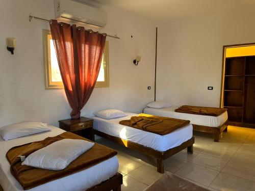 Billede fra billedgalleriet på Seven Heaven Hotel Dahab i Dahab