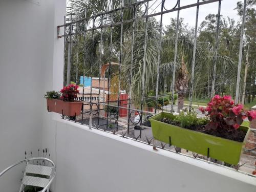 a balcony with two plants on a window sill at Piscis in San Nicolás de los Arroyos